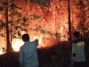 Diduga Akibat Cuaca Panas, Lahan Perkebunan di Sidomakmur Muna Barat Terbakar