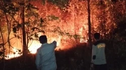 Diduga Akibat Cuaca Panas, Lahan Perkebunan di Sidomakmur Muna Barat Terbakar 3 Diduga Akibat Cuaca Panas, Lahan Perkebunan di Sidomakmur Muna Barat Terbakar