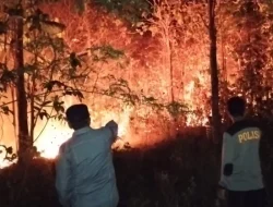 Diduga Akibat Cuaca Panas, Lahan Perkebunan di Sidomakmur Muna Barat Terbakar