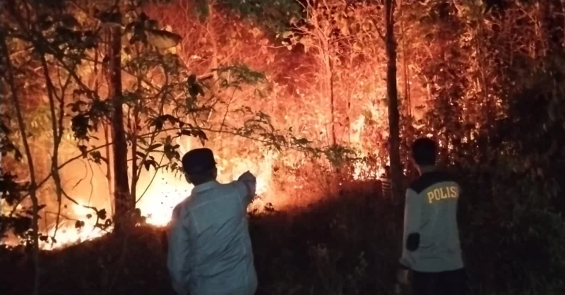 Diduga Akibat Cuaca Panas, Lahan Perkebunan di Sidomakmur Muna Barat Terbakar