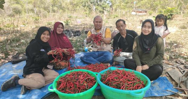 Kisah Ibnu Hajar, Petani Konawe Utara yang Panen 110 Kg Cabai Berkat Program ANTAM