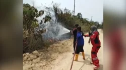 Ratusan Hektare Lahan di Momuntu Muna Barat Terbakar, Sapi Warga Ikut Hangus 6 Ratusan Hektare Lahan di Momuntu Muna Barat Terbakar, Sapi Warga Ikut Hangus