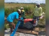185 Hektare Sawah di Muna Alami Kekeringan, Puluhan Hektare di Desa Labulu-bulu Gagal Panen