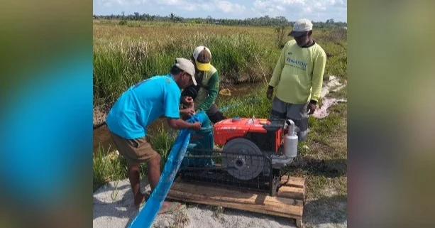 185 Hektare Sawah di Muna Alami Kekeringan, Puluhan Hektare di Desa Labulu-bulu Gagal Panen 1 185 Hektare Sawah di Muna Alami Kekeringan, Puluhan Hektare di Desa Labulu-bulu Gagal Panen