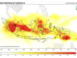Kabut Asap Berpotensi Makin Pekat di Sultra, BMKG Ingatkan Penurunan Jarak Pandang
