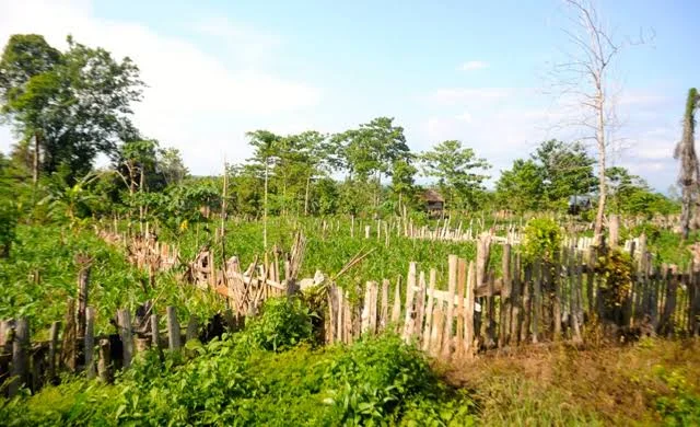 Pembangunan Markas Militer di Warangga: Antara Perut Petani dan Efek Multidimensi bagi Kemajuan Muna